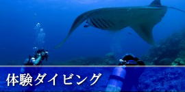 ̌_CrO